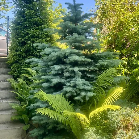 Roda S Vnitrni Saunou Casa vacanze