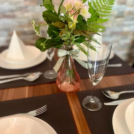 Roda S Vnitrni Saunou Rabyne