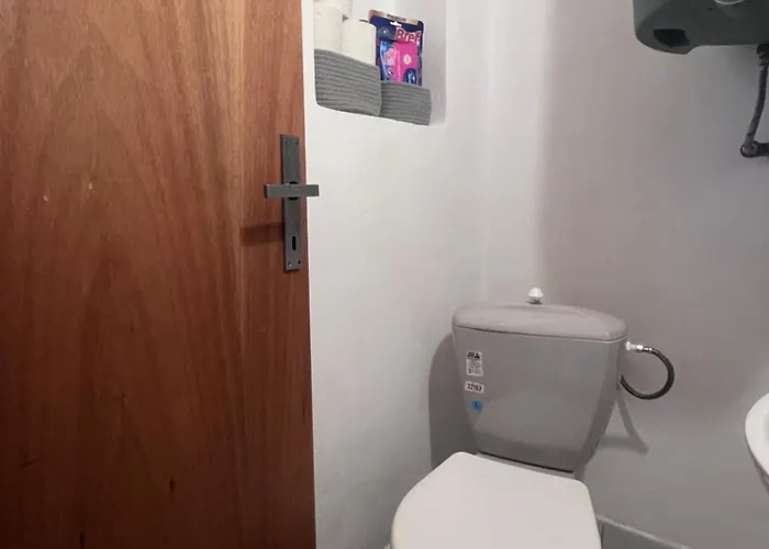 Roda S Vnitrni Saunou Rabyne