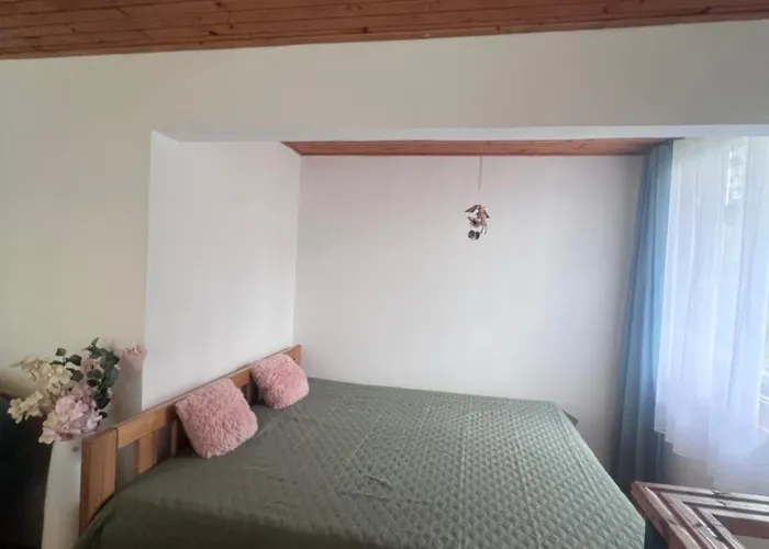 Roda S Vnitrni Saunou * Rabyne