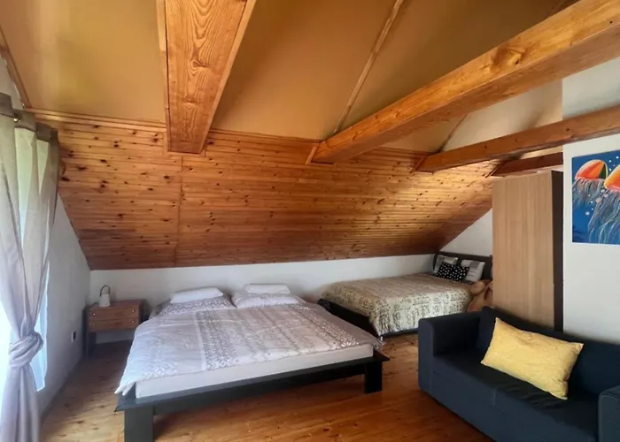 Roda S Vnitrni Saunou * Rabyne