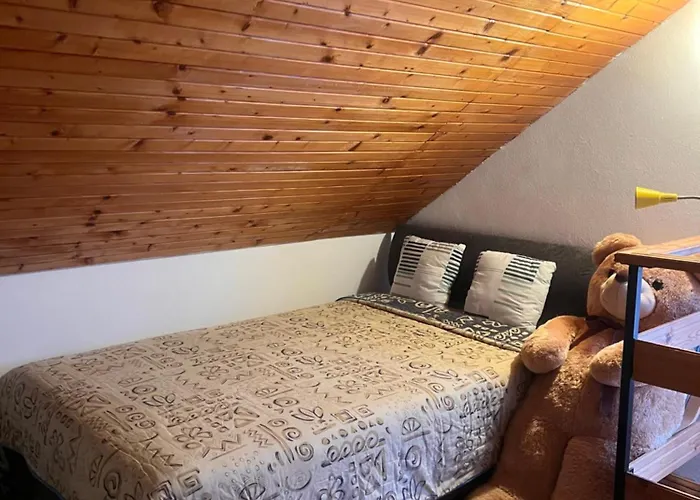 Roda S Vnitrni Saunou * Rabyne