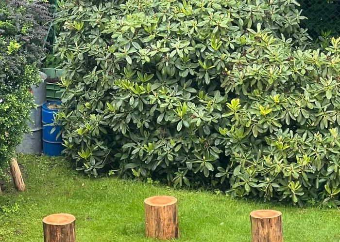 Roda S Vnitrni Saunou Holiday home Rabyne