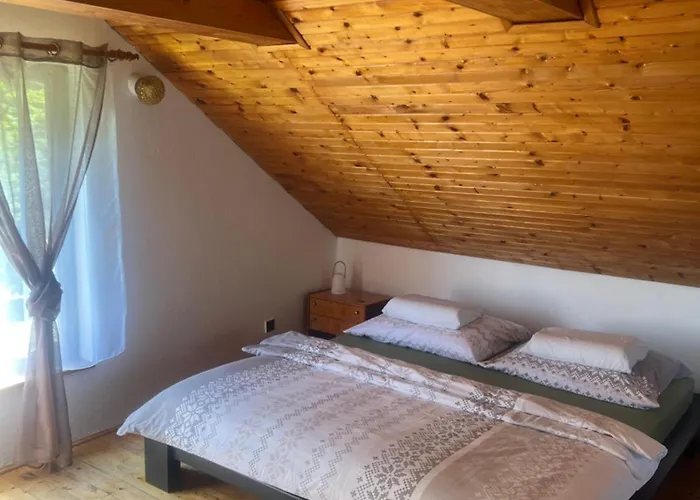 Roda S Vnitrni Saunou Rabyně