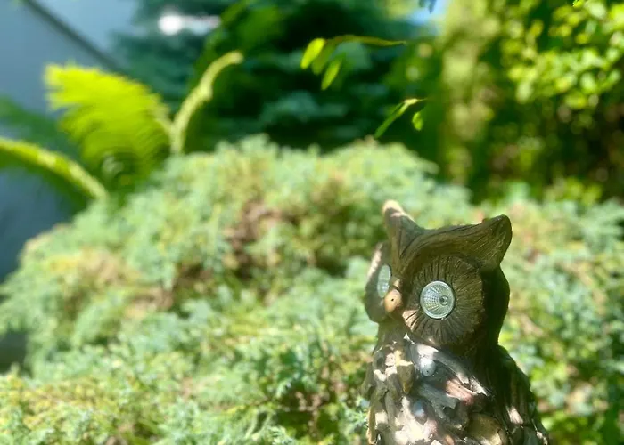 Roda S Vnitrni Saunou