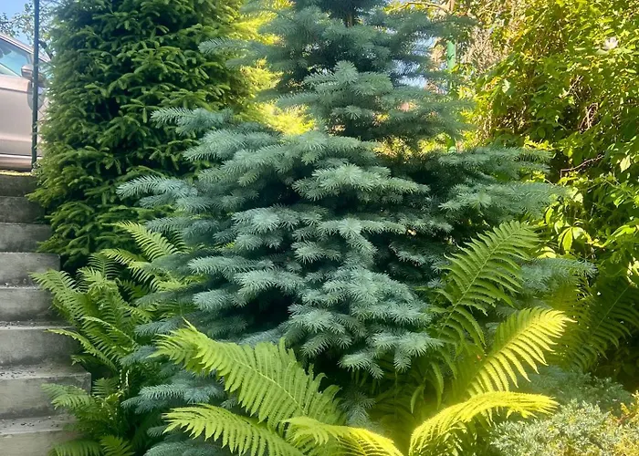 Roda S Vnitrni Saunou 別荘