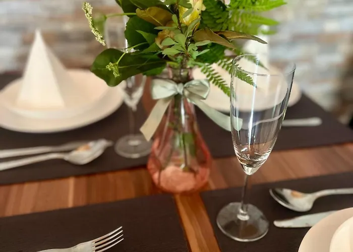 Roda S Vnitrni Saunou Rabyně